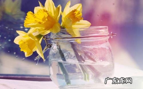 旅游优美的唯美句子 【抖音文案】超级优美的唯美的句子