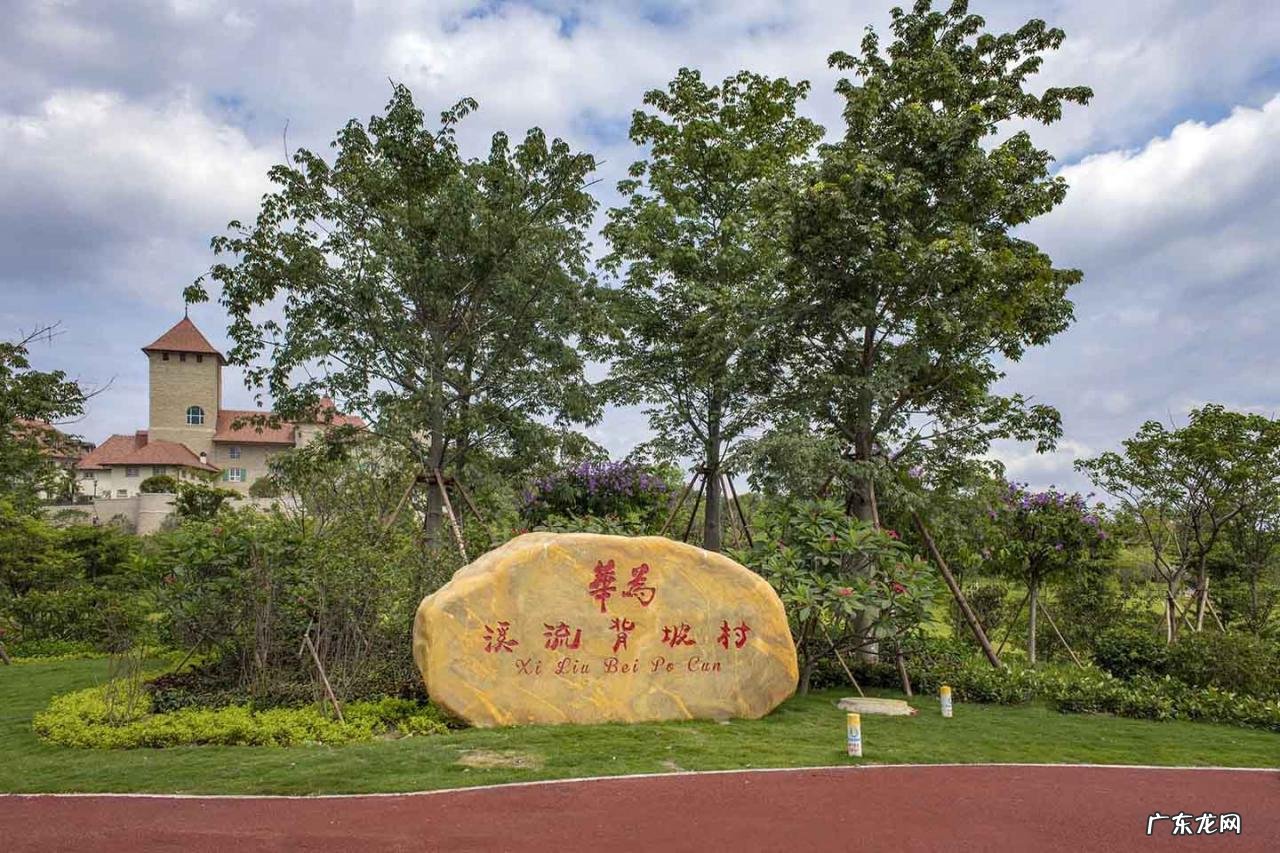 狼性文化的理解 华为狼性文化是什么意思