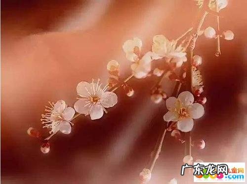 关于十二月的句子短句 【抖音文案】十二月的句子短句唯美