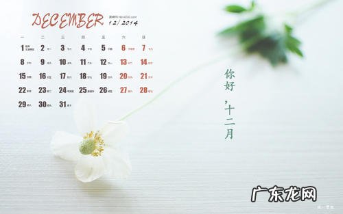 关于十二月的句子短句 【抖音文案】十二月的句子短句唯美