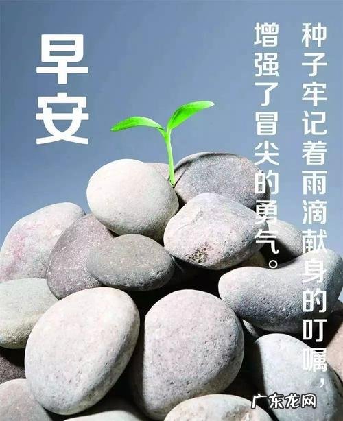 正能量句子励志短句子 【抖音文案】励志上进正能量句子