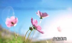 形容生活美好的句子短句 【抖音文案】形容生活美好的句子