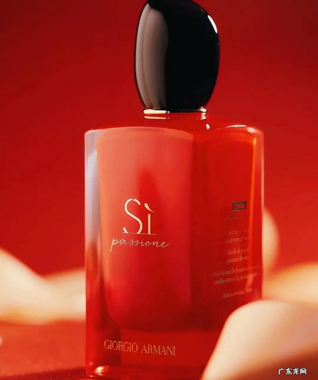 阿玛尼香水具体分析 阿玛尼香水怎么样