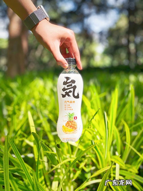 东方树叶是否健康?东方树叶真的很难喝吗?