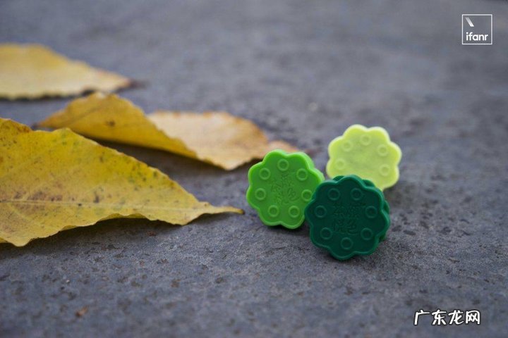 东方树叶是否健康?东方树叶真的很难喝吗?