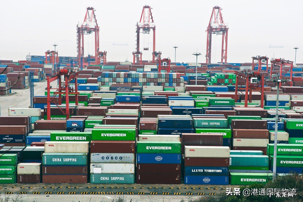 出口配额是什么意思?有哪些形式?