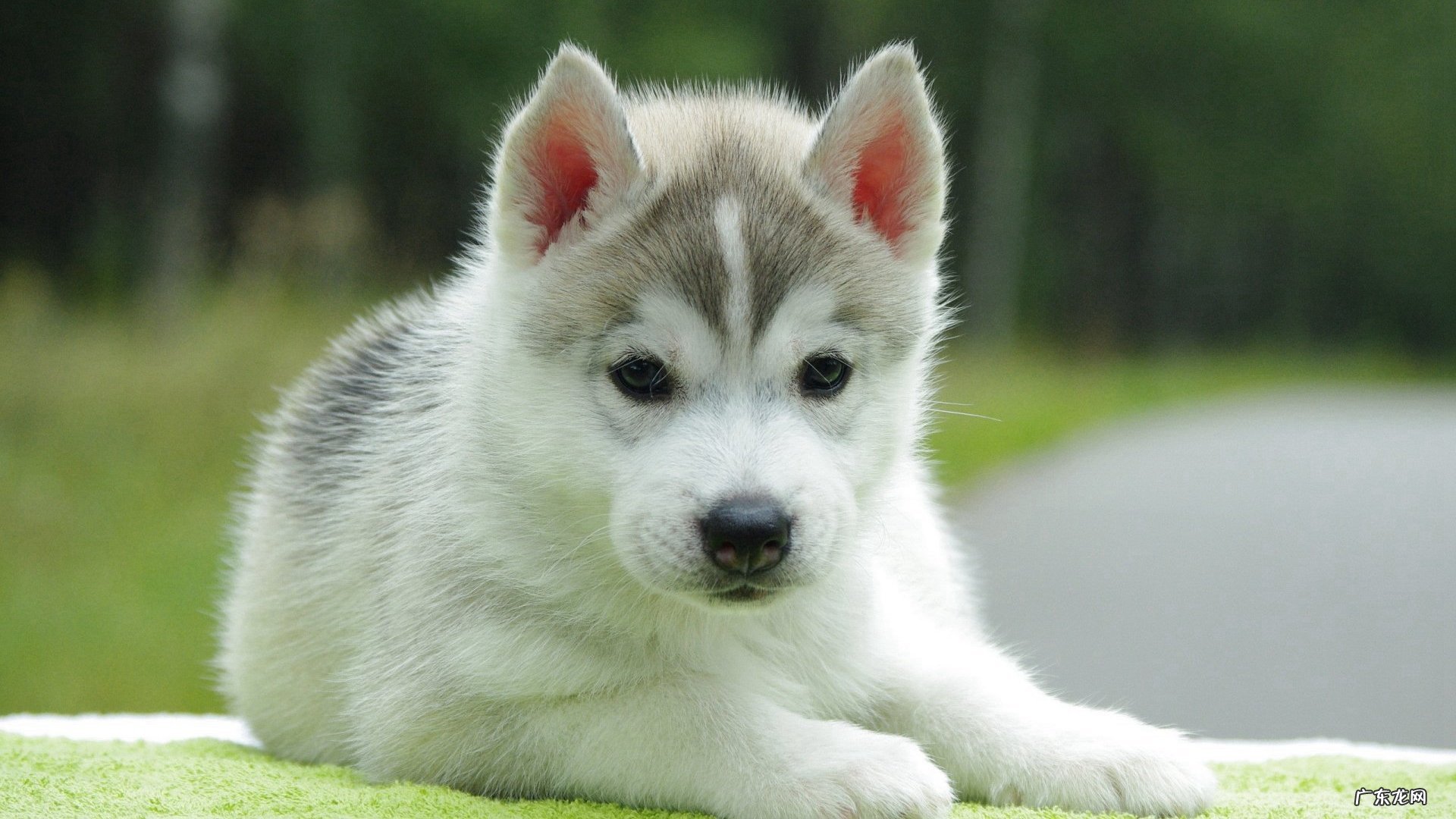 王牌瘦身产品:最有效的瘦身产品是什么啊?怎么才可以瘦下来?