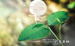 有关一家人幸福的优美语句 【抖音文案】关于幸福的优美语句