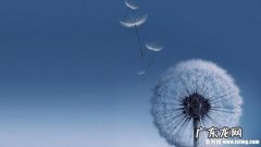 孩子吹蒲公英的一句话 【抖音文案】蒲公英的一句话