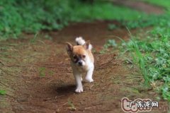 夏天皮肤疾病多发性的缘故和防范措施
