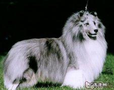 喜乐蒂的身上有木有感受