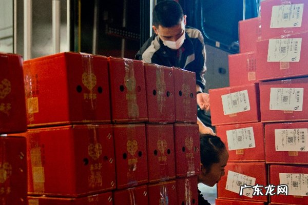 拼多多物流更新规则 拼多多物流服务异常指标怎么消除,拼多多商家无需物流如何发货