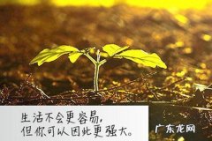 励志语录经典句子 【抖音文案】励志语录经典句子