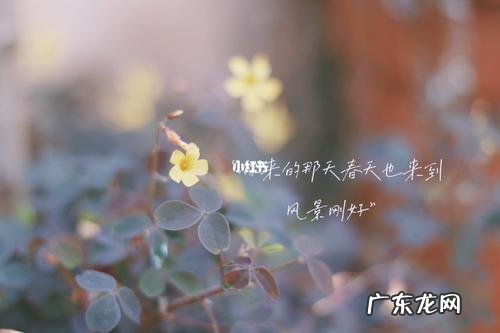 配风景图的朋友圈短句 【抖音文案】风景配短句春天