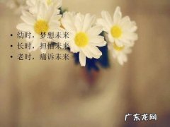 感悟人生唯美句子短句 【抖音文案】感悟人生的经典句子短句