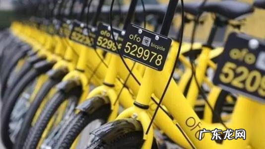 ofo创始人戴威创业的艰辛历程 ofo戴威是哪里人?