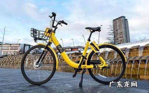 ofo创始人戴威创业的艰辛历程 ofo戴威是哪里人?