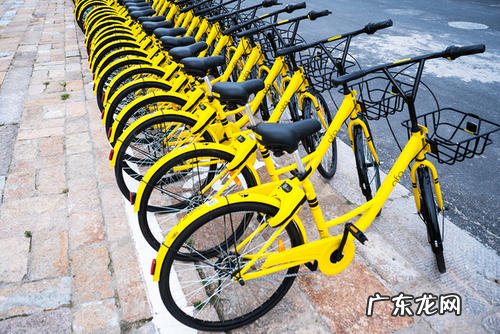 ofo创始人戴威创业的艰辛历程 ofo戴威是哪里人?