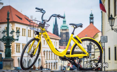 ofo创始人戴威创业的艰辛历程 ofo戴威是哪里人?