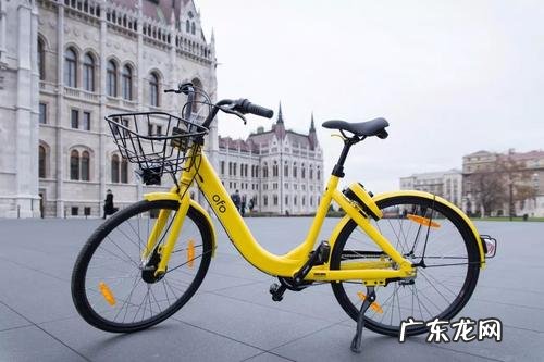 ofo创始人戴威创业的艰辛历程 ofo戴威是哪里人?