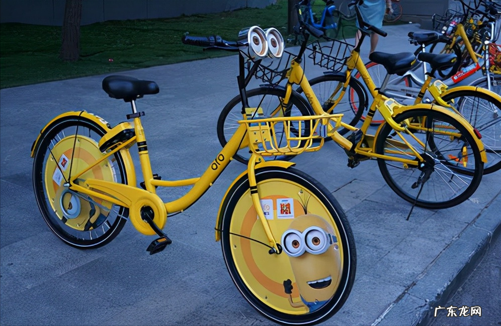 ofo创始人戴威创业的艰辛历程 ofo戴威是哪里人?