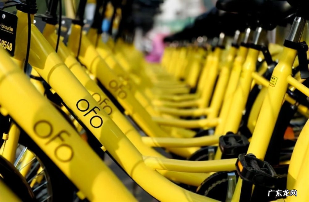 ofo创始人戴威创业的艰辛历程 ofo戴威是哪里人?