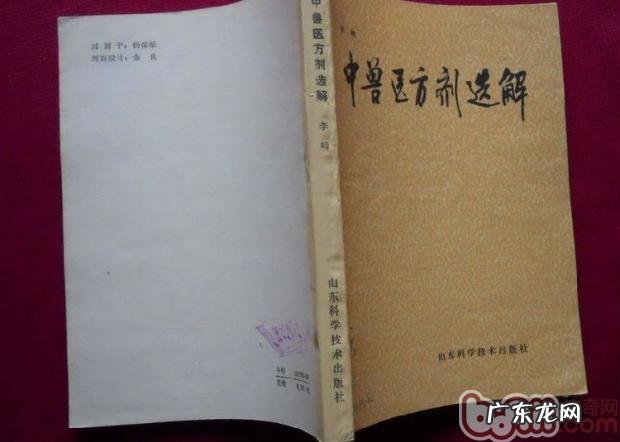 中兽医医治狗狗感冒及其消化道病