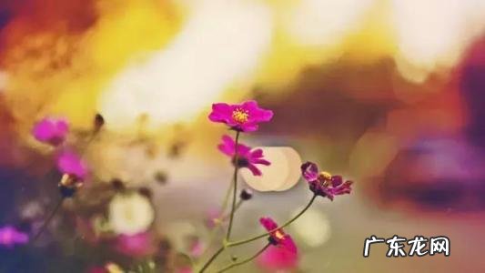 给自己背影唯美简短一句话 【抖音文案】唯美简短一句话