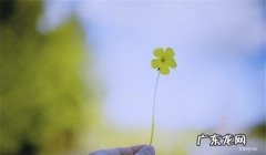 春天的句子短句唯美 【抖音文案】春天的句子短句