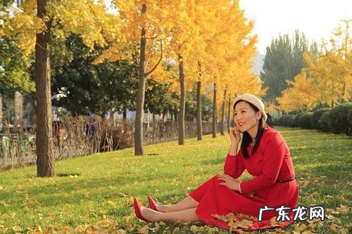 描写春天银杏树的句子 【抖音文案】描写银杏树下美女的句子