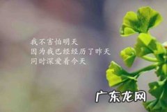 每天一句正能量的句子,致自己 【抖音文案】每天一条正能量的句子