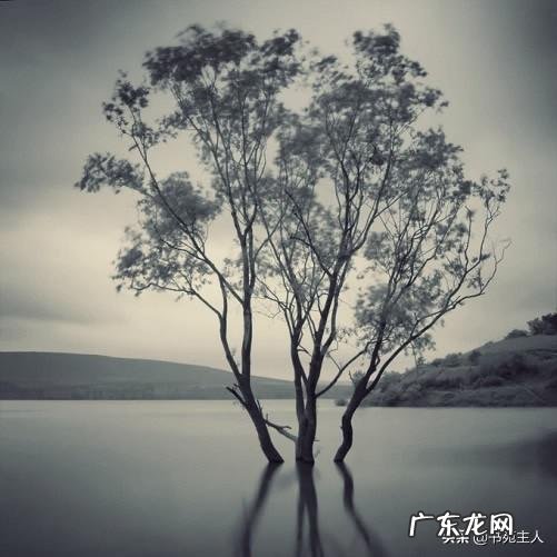 你读过最悲伤、最难过、最难忘怀的古诗是什么