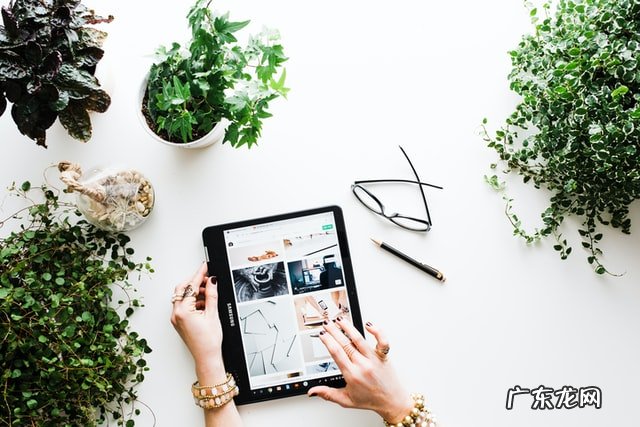 流量纵横标准版可以看什么？与专业版区别？