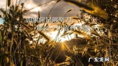早安心语努力正能量一句话 【抖音文案】努力正能量简单一句话