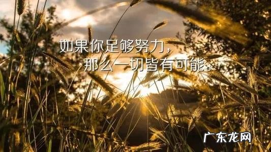 早安心语努力正能量一句话 【抖音文案】努力正能量简单一句话