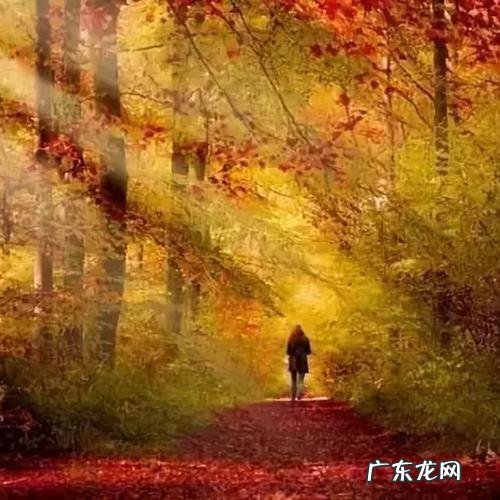 秋天比较有意境的句子 【抖音文案】秋天意境很美的句子