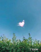 描写风的优美短句 【抖音文案】风的优美短句