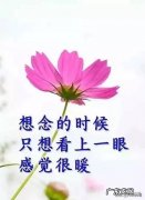 祝我们友谊长久的句子英文 【抖音文案】祝我们友谊长久的句子