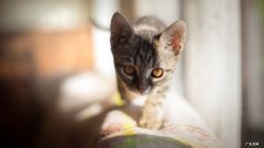 一周减肥一斤正常吗 156斤减脂一周掉了4斤，正常吗？