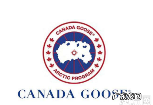 加拿大鹅羽绒服里面是什么绒?属于什么档次品牌?