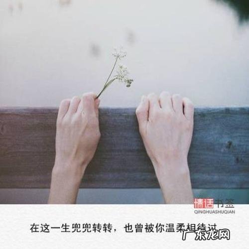 九月的句子短句唯美 【抖音文案】11月的句子短句唯美