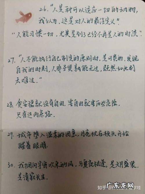 精选句子摘抄和评价 【抖音文案】精选句子摘抄