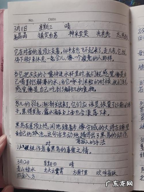 端午节优美句子摘抄 【抖音文案】摘抄十个优美句子