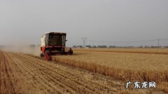 直通车收割计划怎么设置？有何技巧？