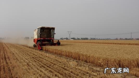 直通车收割计划怎么设置?有何技巧?