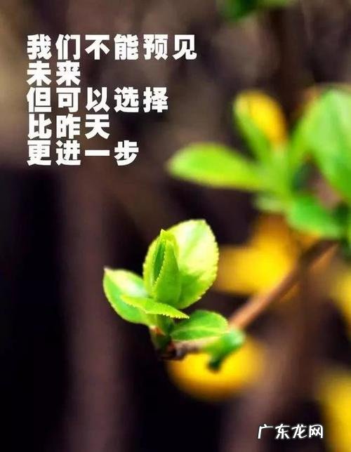 【抖音文案】有关11月的句子