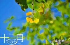 【抖音文案】有关11月的句子