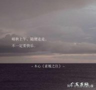 气质干净有仙气的句子8字 【抖音文案】气质干净有仙气的句子