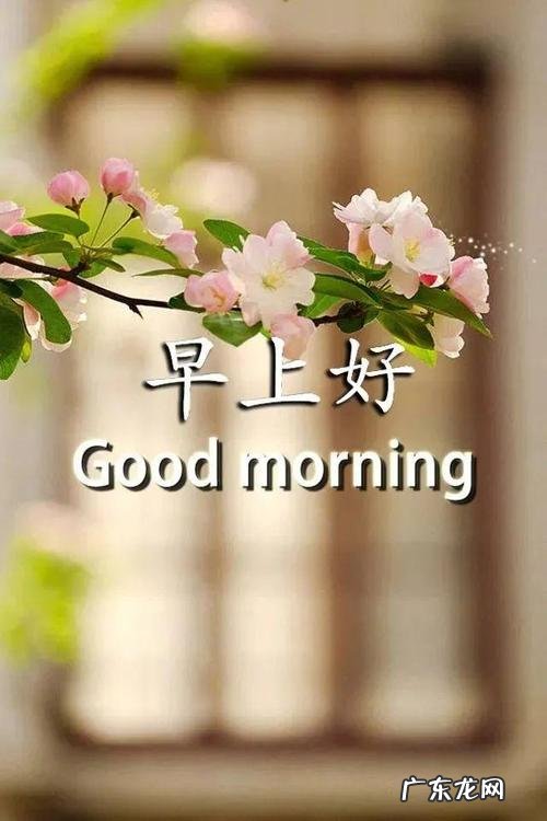 阳光心态正能量的句子幽默 【抖音文案】阳光心态正能量好语句