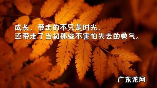 11字精辟短句 【抖音文案】10字精辟短句